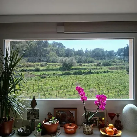 Bienvenue Au Paradis Pradet 아파트